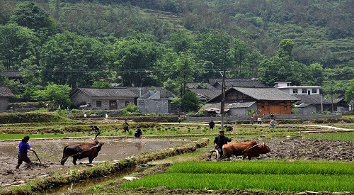 不要沉浸在交易技巧的含义里 难论百科 第2张-难论-难者博客