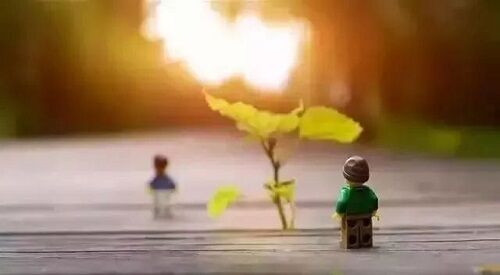 股票投资、学习、交流等社交群靠谱吗? 难论百科 第1张-难论-难者博客